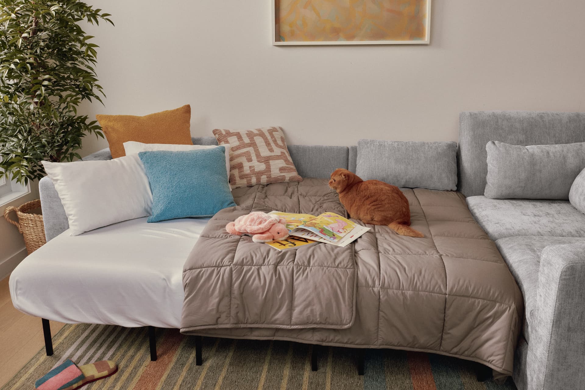 Cozey Neptune sofa bed opened with a taupe comforter and a cat sitting on it